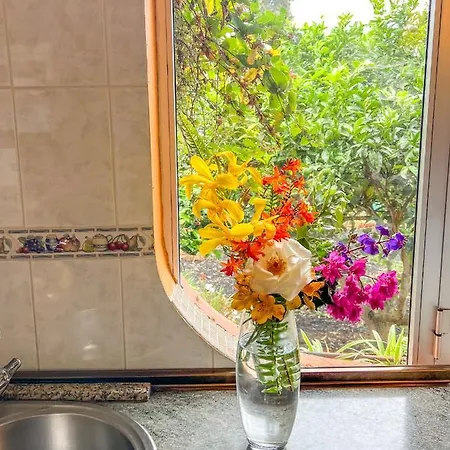 Canarian With Terrace Surrounded By Garden - Alisios La Orotava