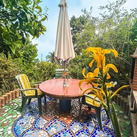 Holiday home Canarian With Terrace Surrounded By Garden - Alisios