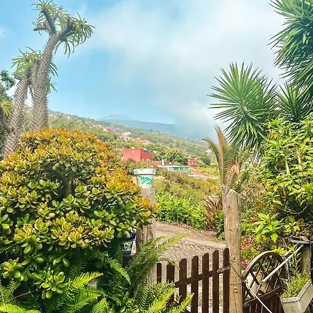Canarian With Terrace Surrounded By Garden - Alisios Holiday home *