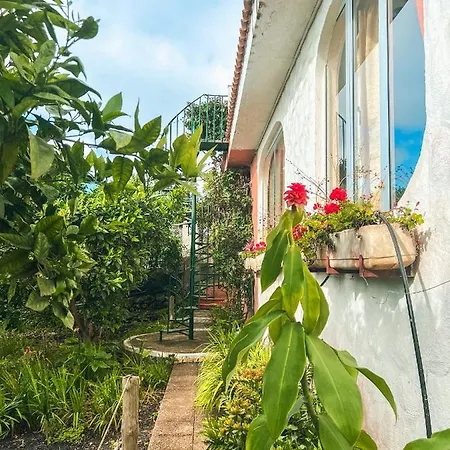 Canarian With Terrace Surrounded By Garden - Alisios Holiday home *