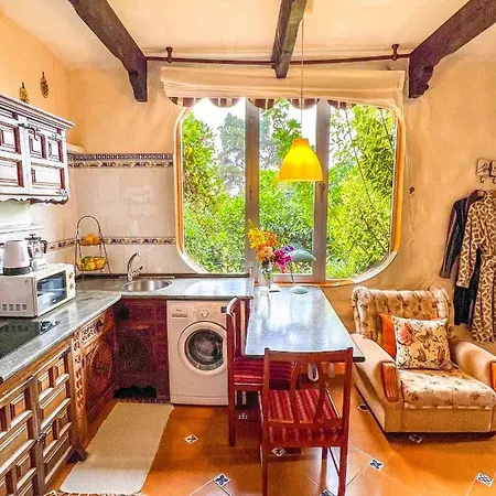 Canarian With Terrace Surrounded By Garden - Alisios Holiday home *